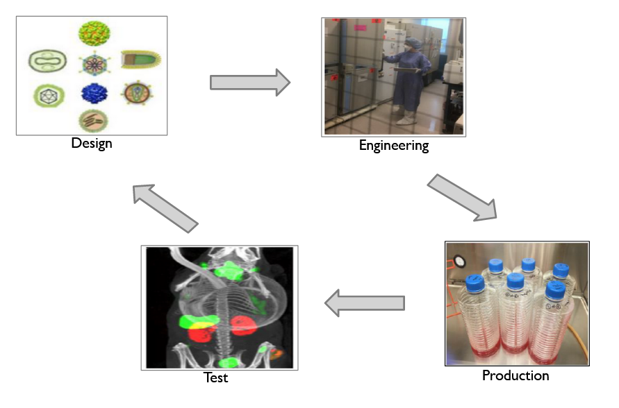 Diagram for Design, Engineering, Production, Test