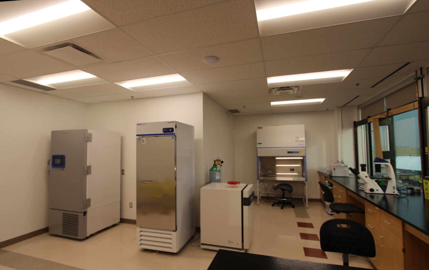 Lab